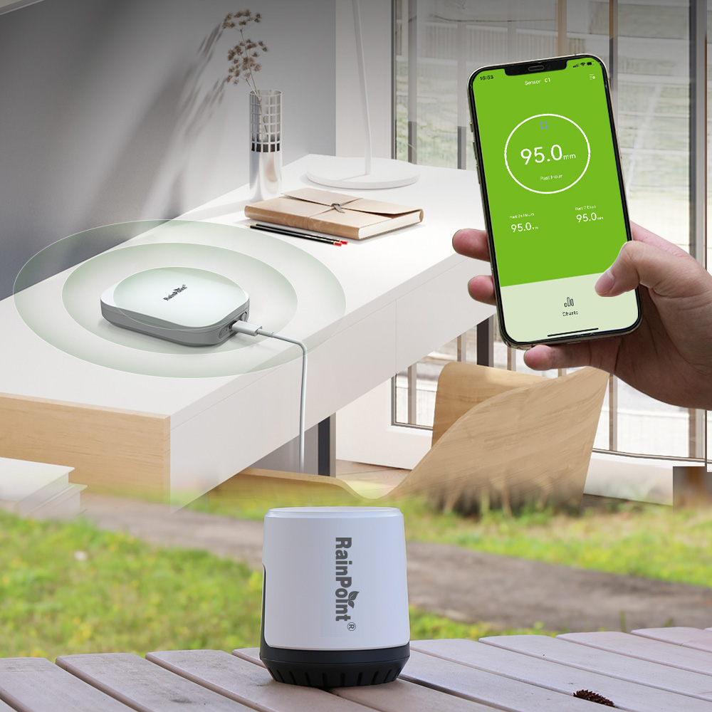 RAINPOINT Bezprzewodowy Cyfrow – Rain Gauge Digital recenzja i cena